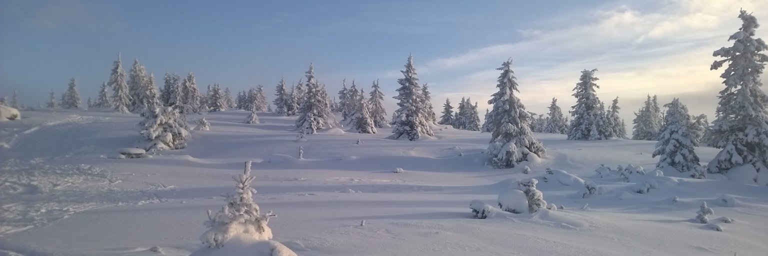 solvfoss's profile banner image