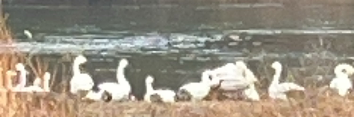 み ͡° な ͡° き__ょ12/12手術 banner