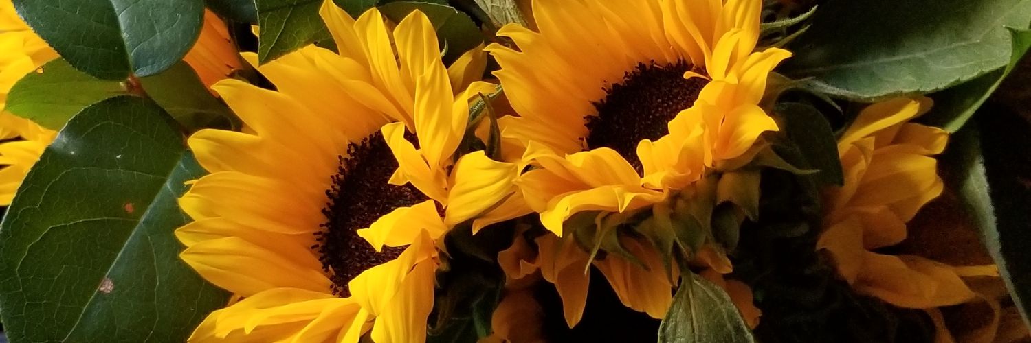 Quety_Porta's profile banner image