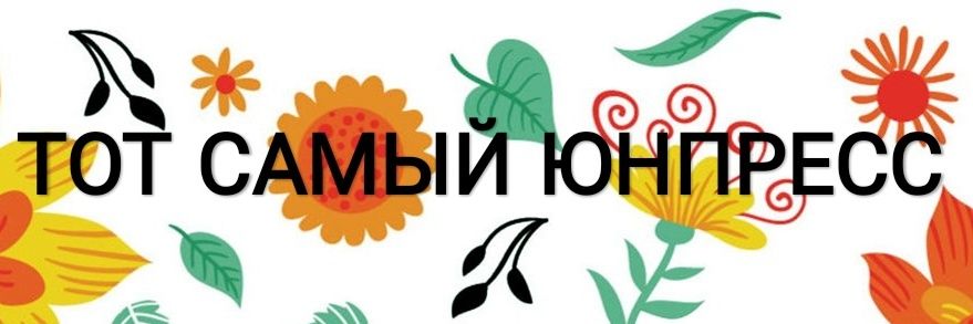 ynpress's profile banner image