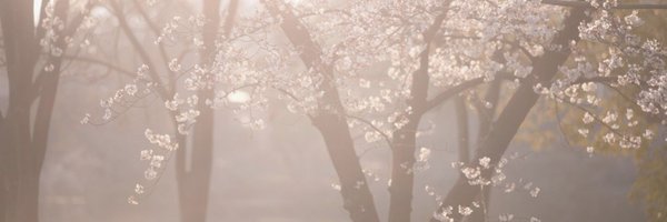 FccxCcx Profile Banner