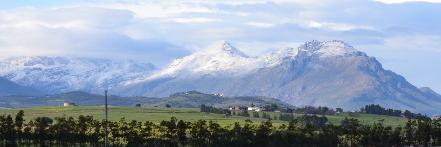 turtle_cilliers's profile banner image