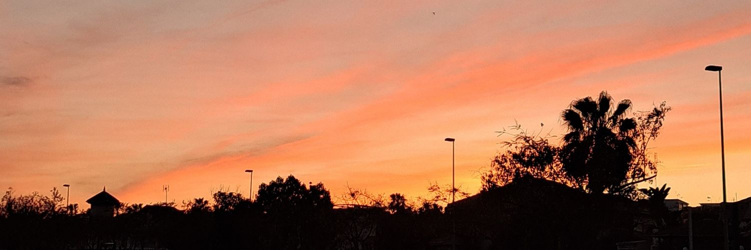 enus6_'s profile banner image