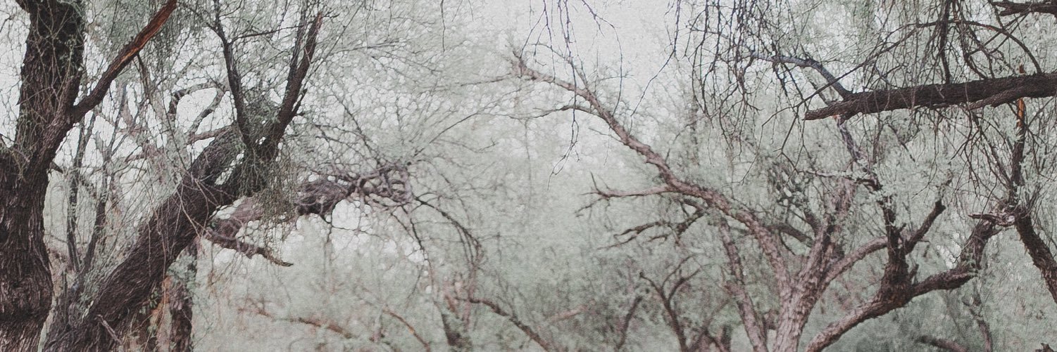 JessicaSarceda's profile banner image