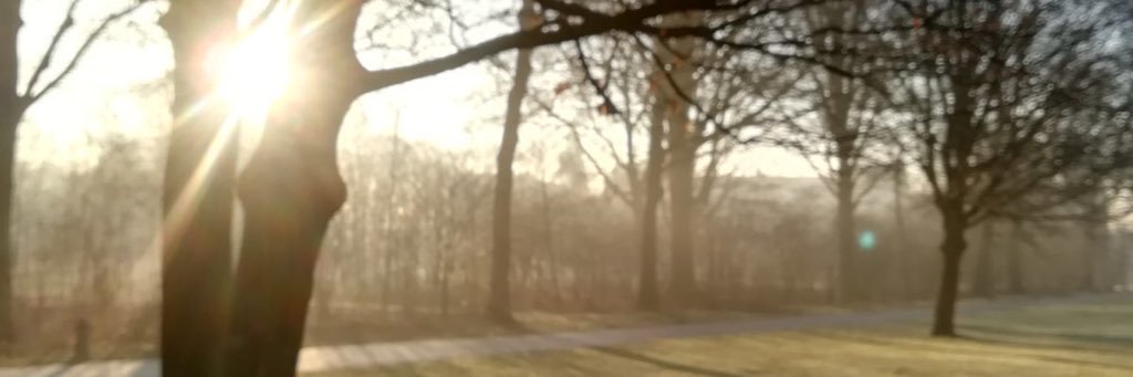 Anna_Kok_'s profile banner image