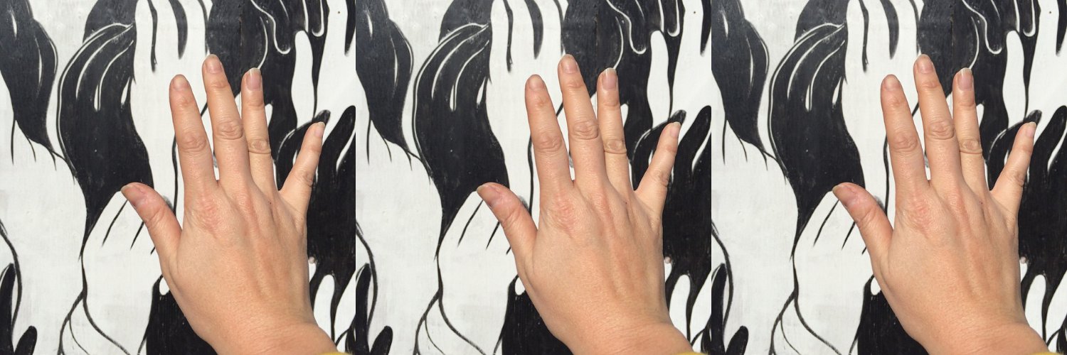 catsinoakland banner