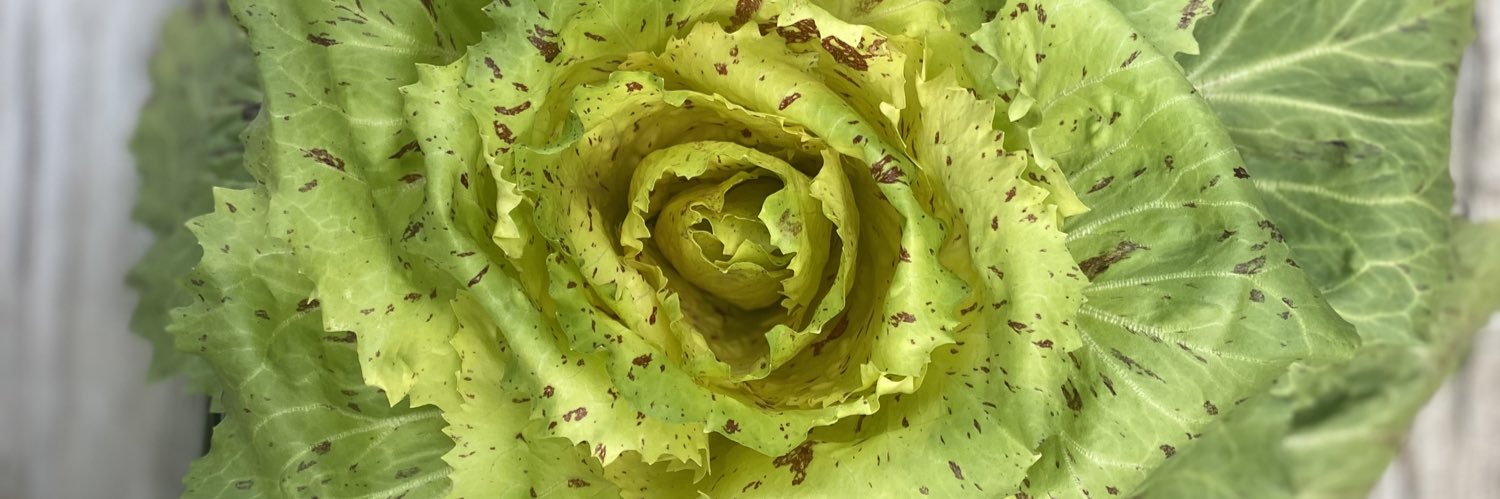 MacGregor Farms 🌲 banner