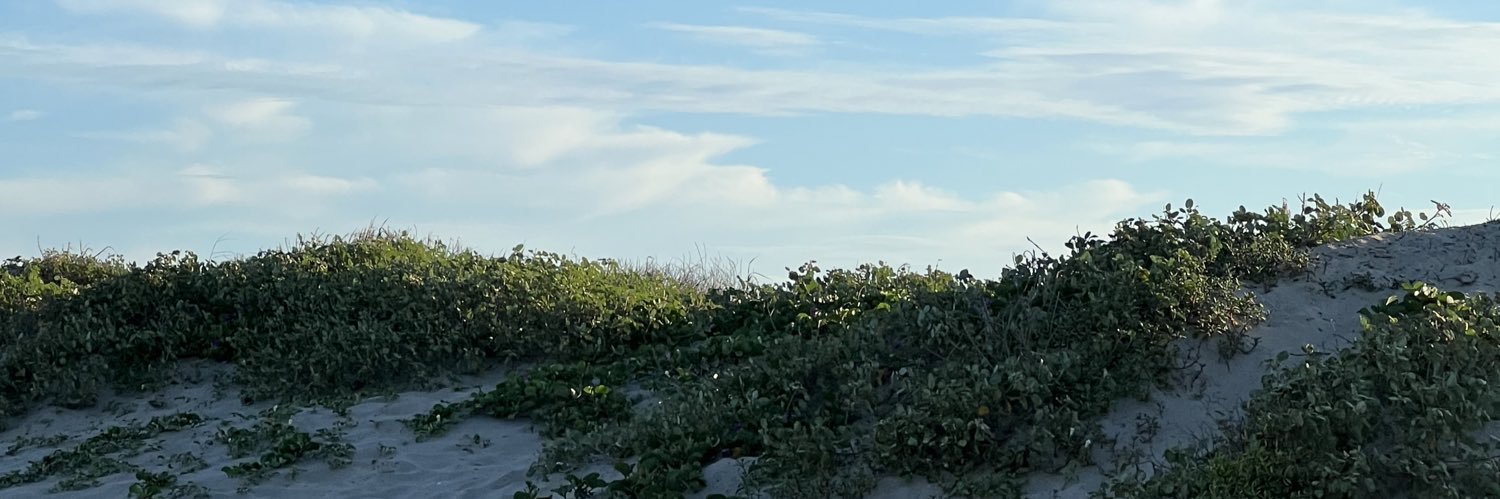 lacoffeemami's profile banner image