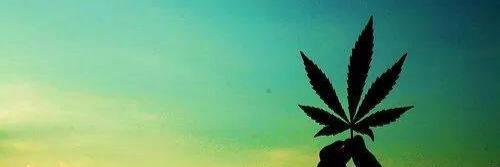 marlorodrigues's profile banner image