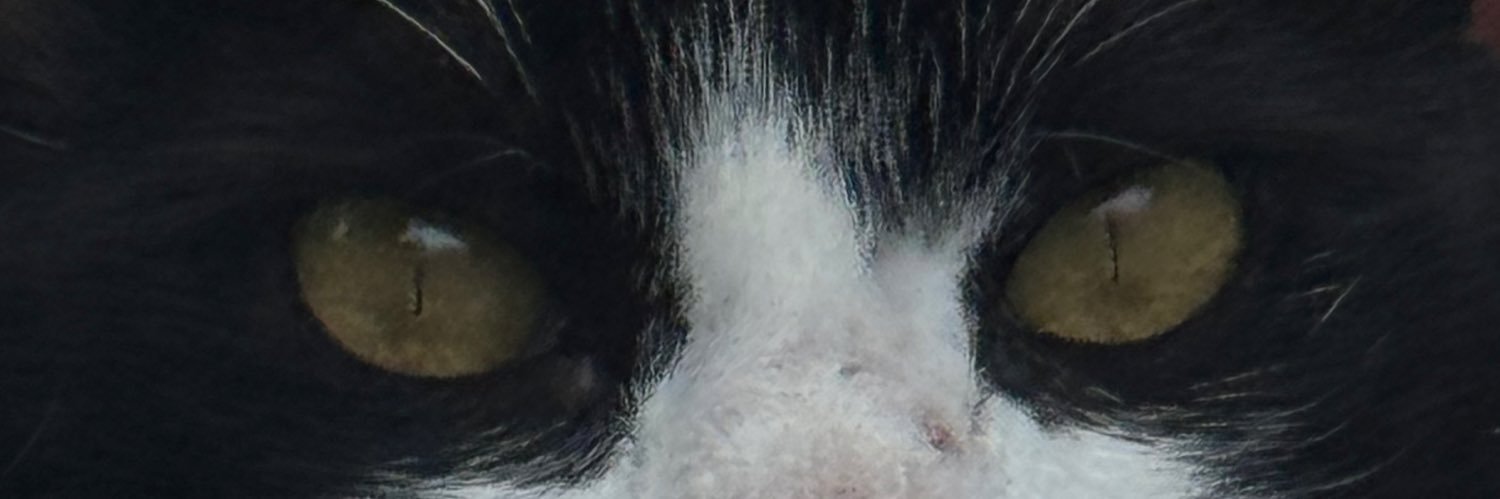 fridaacanto's profile banner image
