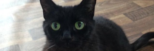 Mandy1258's profile banner image