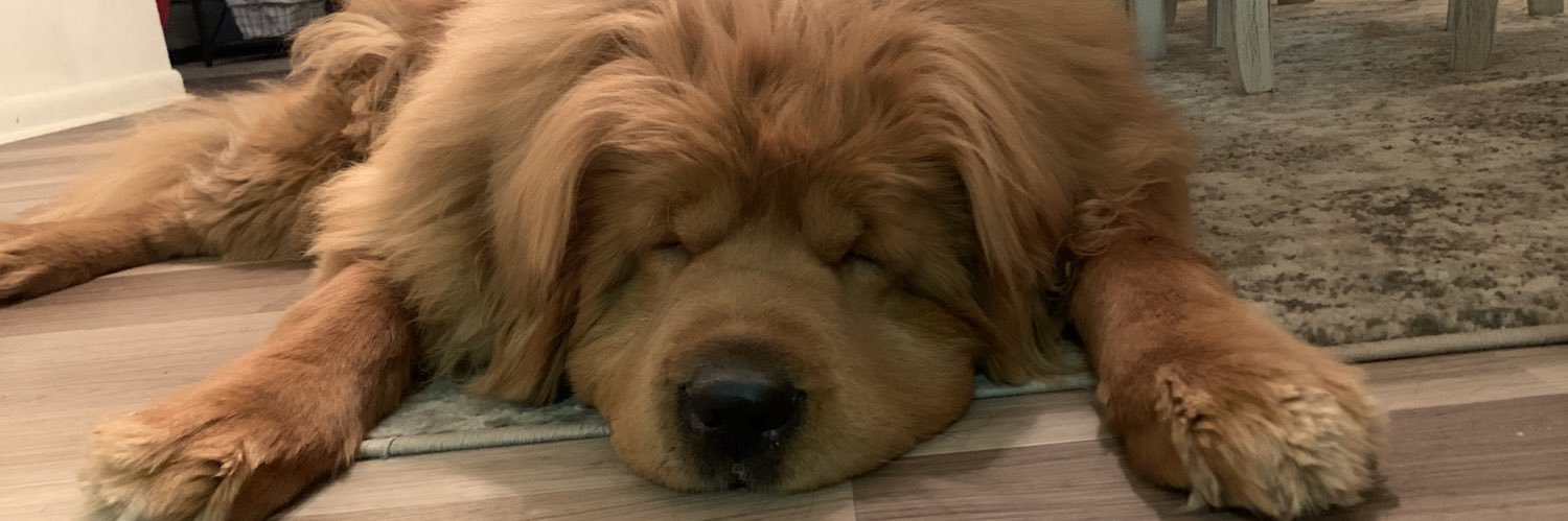 AJPandaa's profile banner image