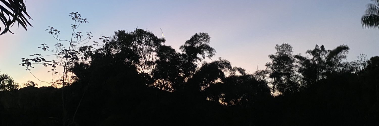 RAMANARAYLA's profile banner image
