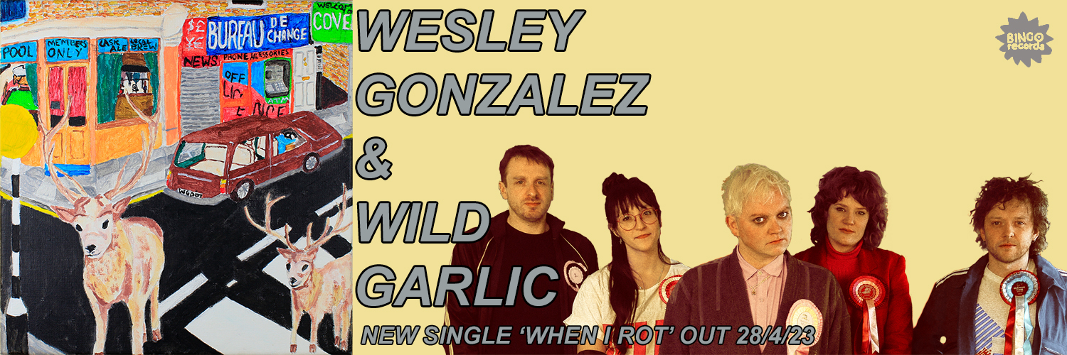 WESLEY GONZALEZ banner