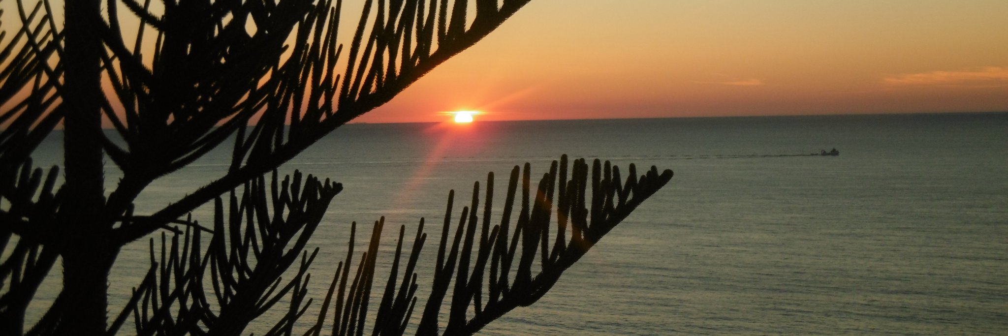 ConradFont's profile banner image