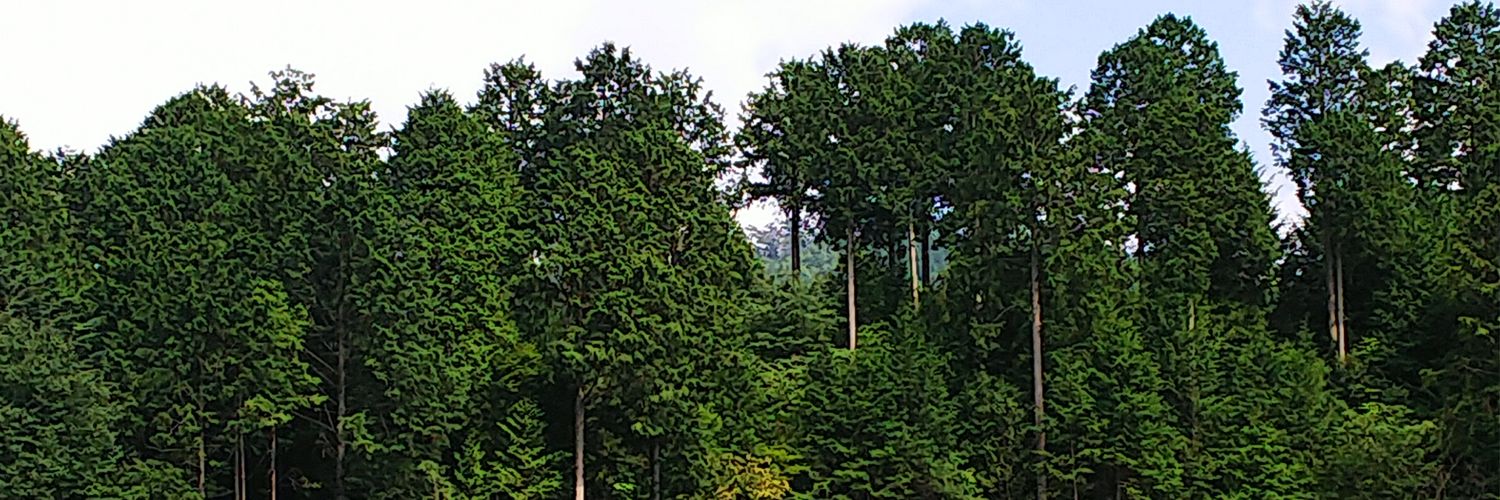 ohci__'s profile banner image