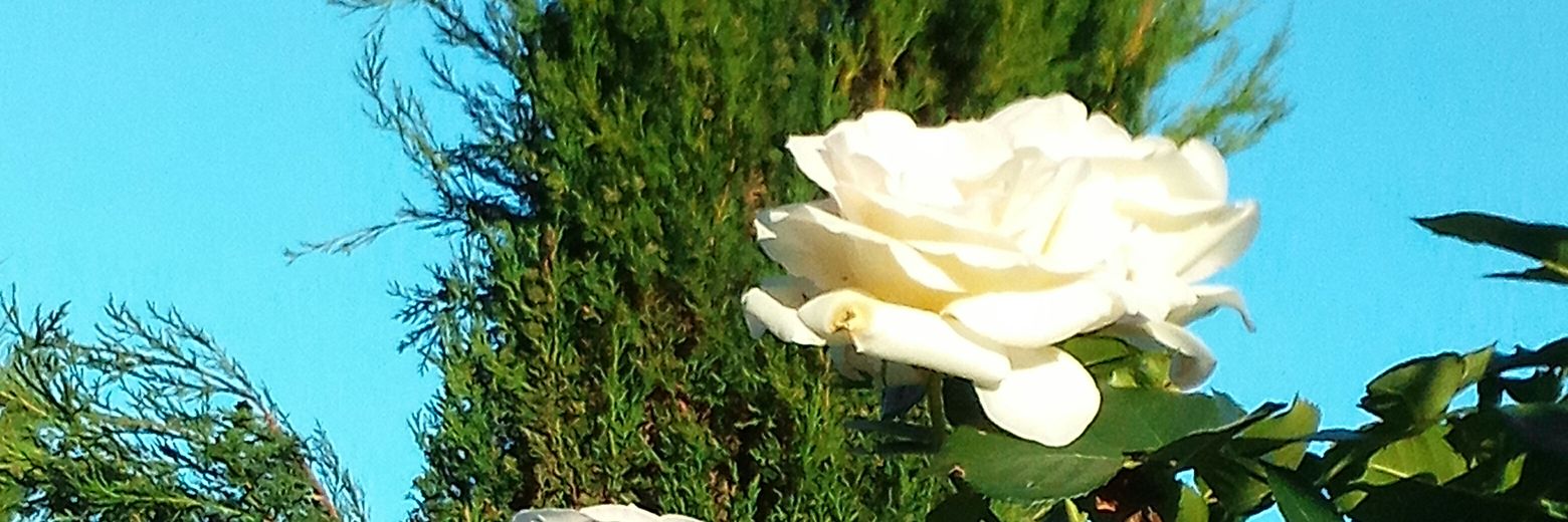 MargareteGterm1's profile banner image