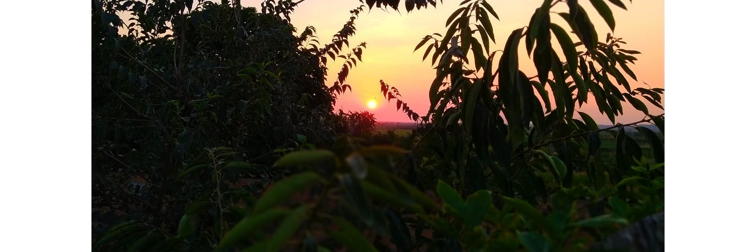 vs_carles's profile banner image