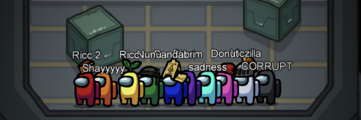 kitty boy banner