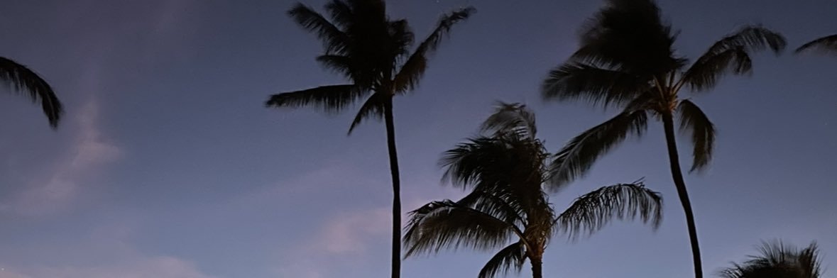 brikhouse_'s profile banner image