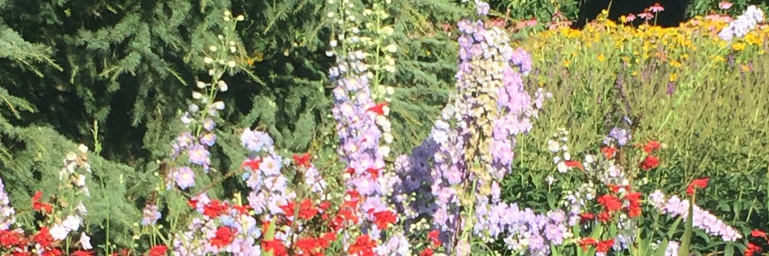 IzziWelling's profile banner image