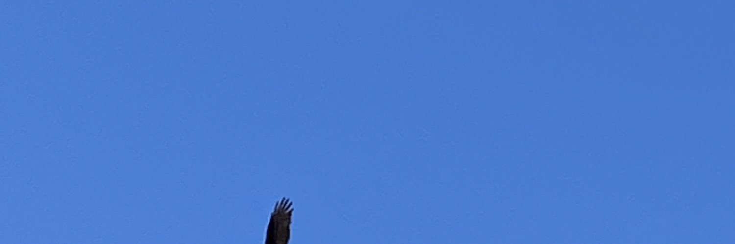 fermccoll's profile banner image
