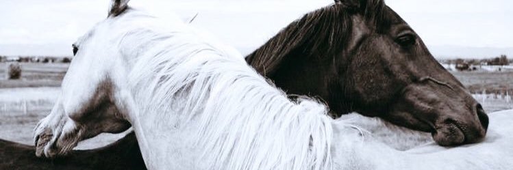PnaarY's profile banner image