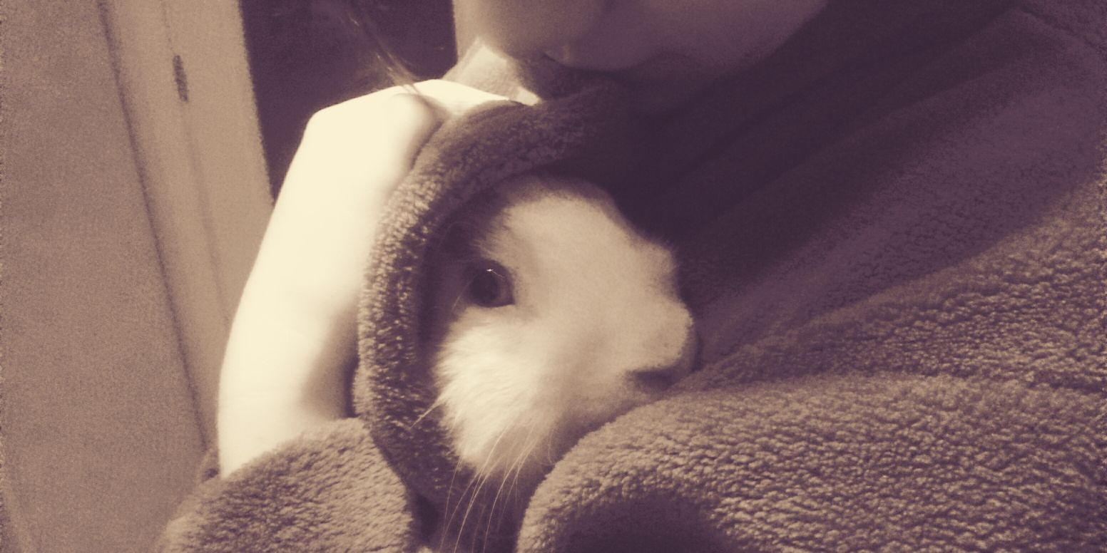 Alba Ferrás Rey banner