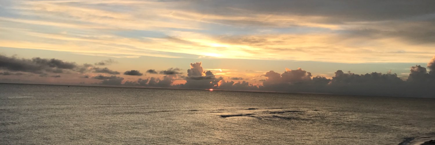 pelodelote's profile banner image