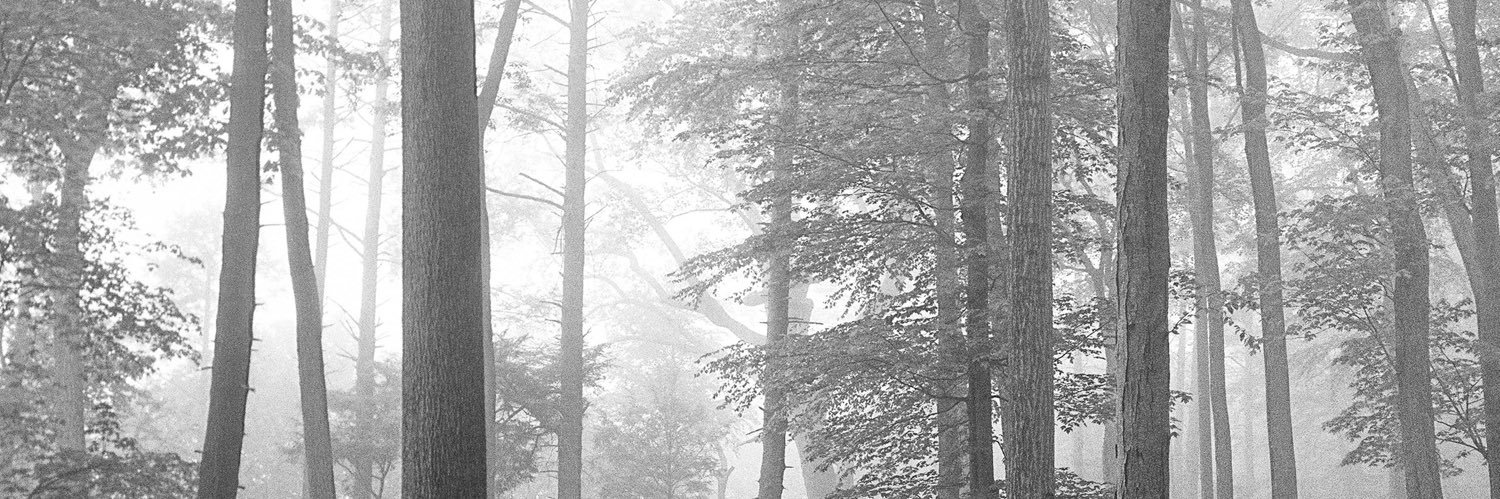 thee___audacity's profile banner image
