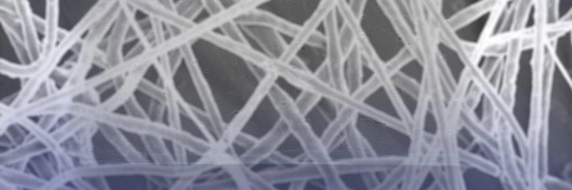 ChemaLagaron's profile banner image