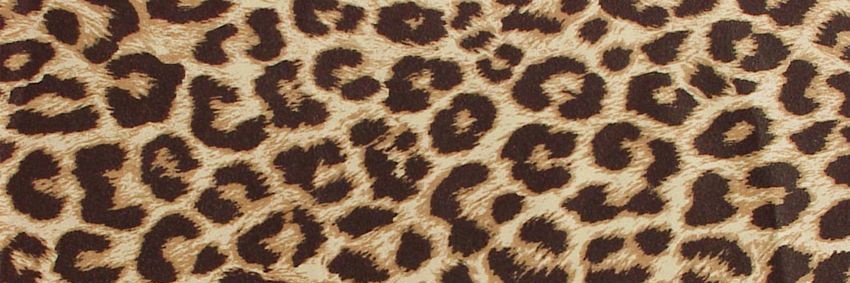 Me_Lysaaaa's profile banner image