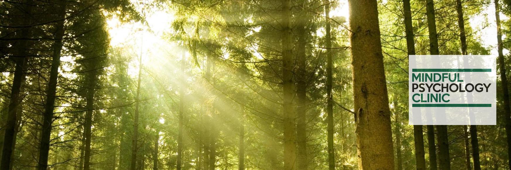 mindfulpsychldn's profile banner image