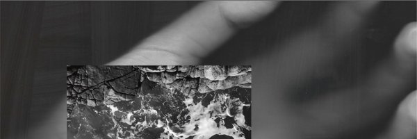 anrimeal Profile Banner