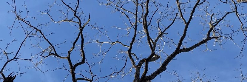 zackbay10's profile banner image