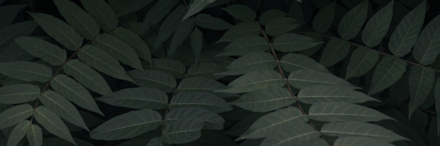 jordanfarrell4's profile banner image