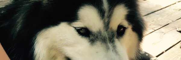 keithabaldwin Profile Banner