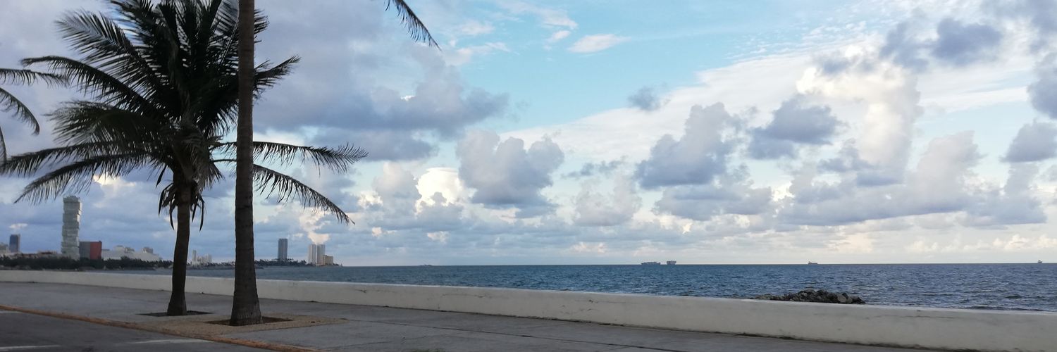 alyzzM's profile banner image