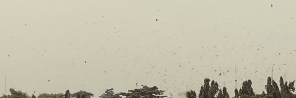 FeranmiOn Profile Banner