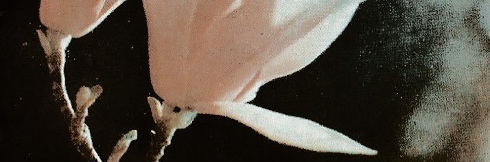 phlegmatuc's profile banner image
