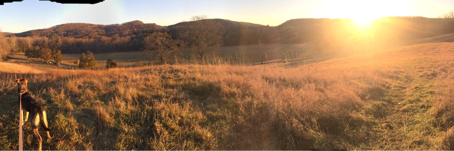 DelaneyYule's profile banner image