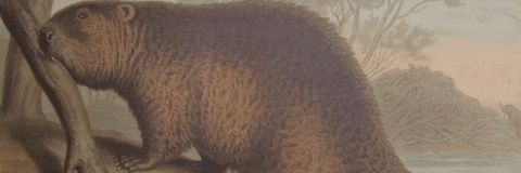 oldretrogamer86's profile banner image