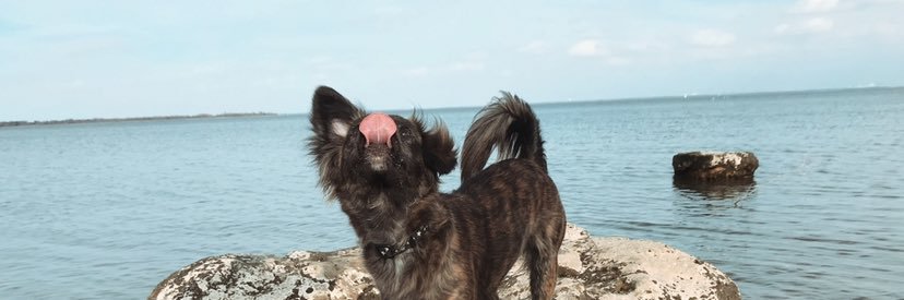 itsjustRaegan's profile banner image