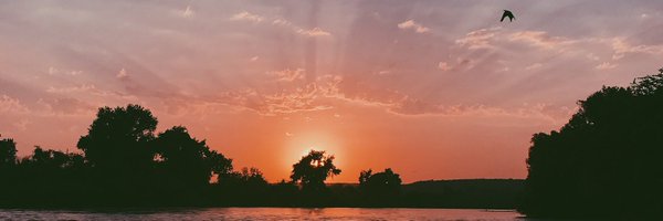 mora_z_ Profile Banner