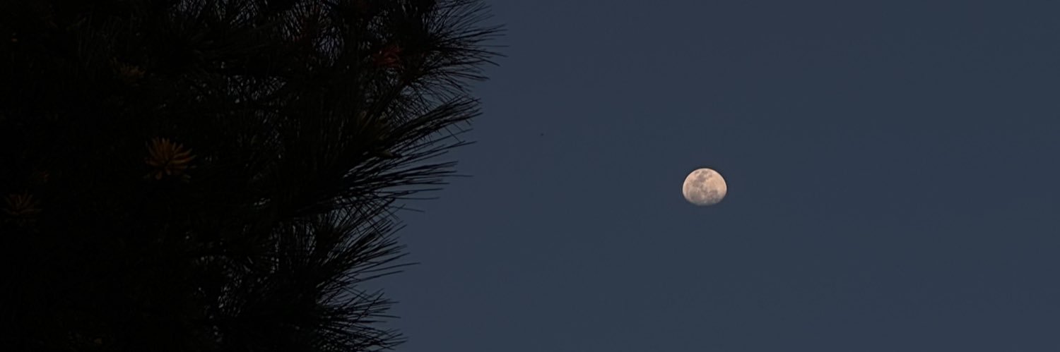 micaluuuu's profile banner image