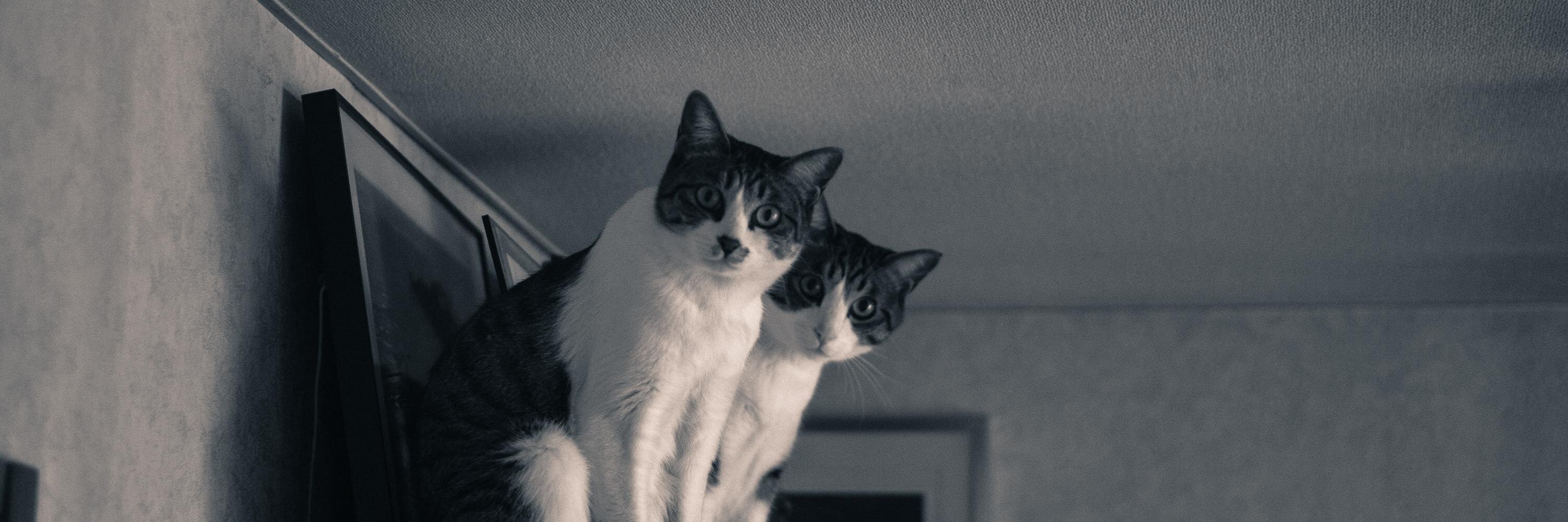 上田ながの banner