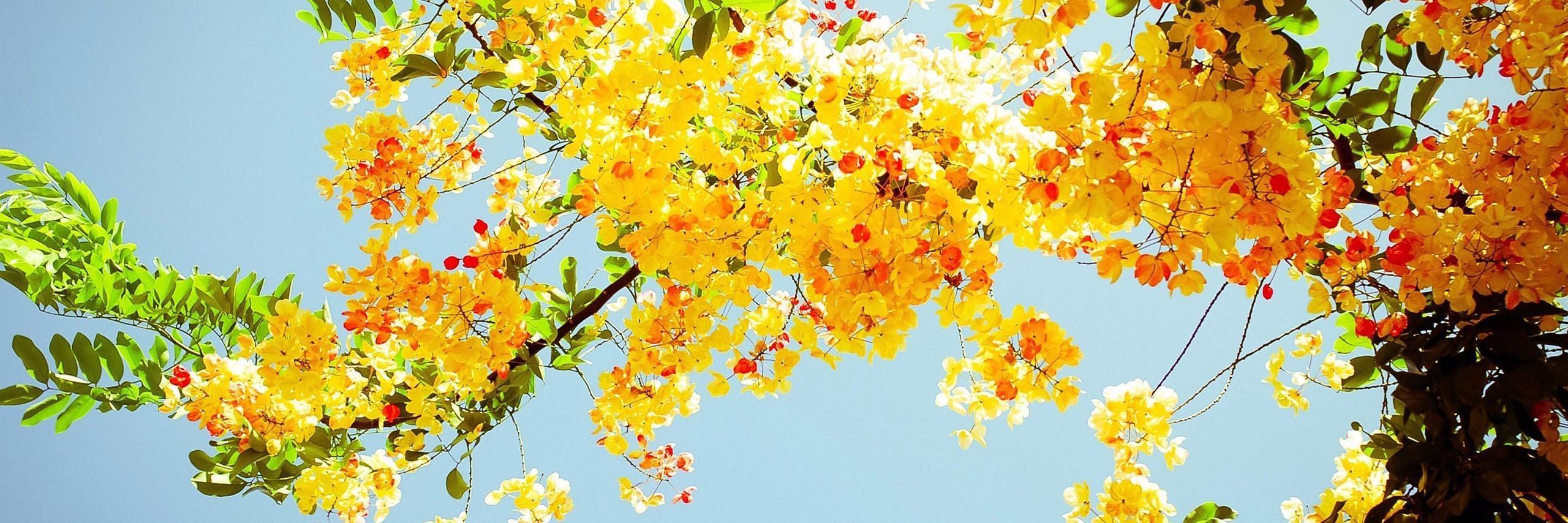 JenJen1319's profile banner image