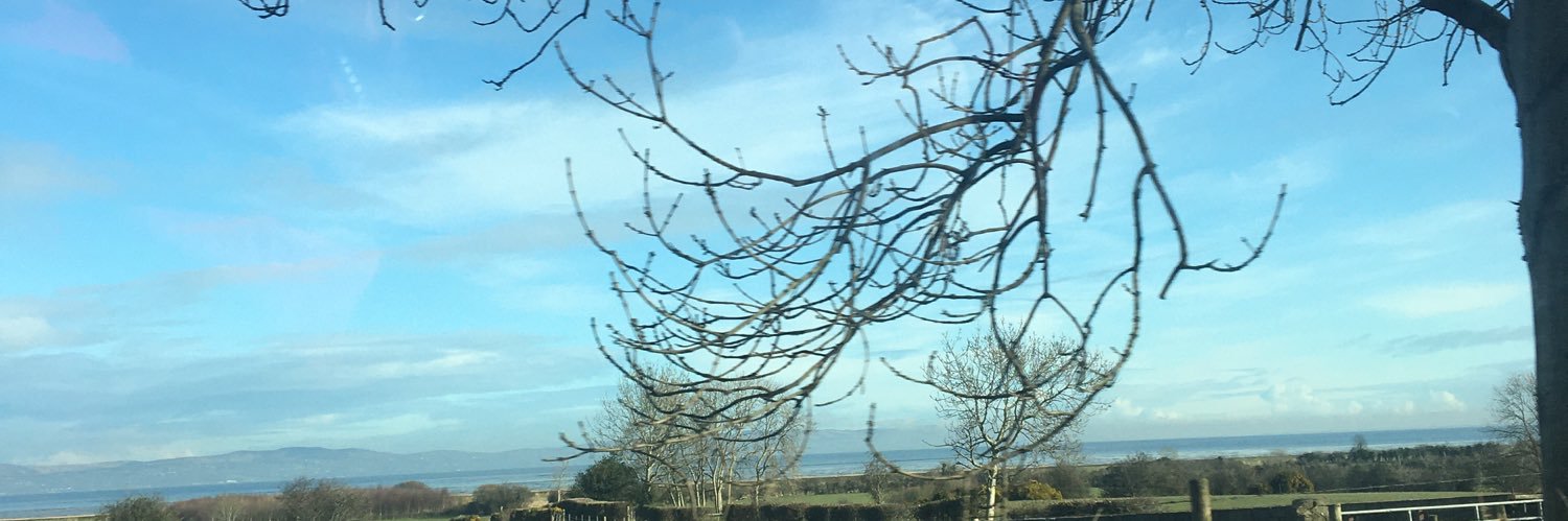 judesstrabane's profile banner image