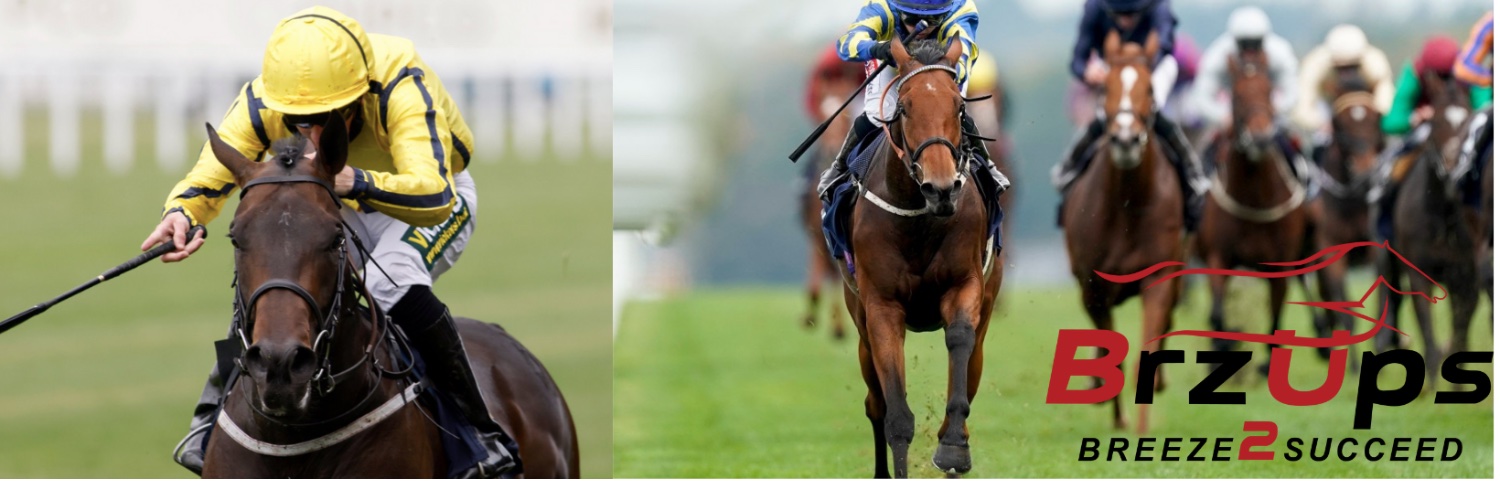 Breeze Up Sales banner