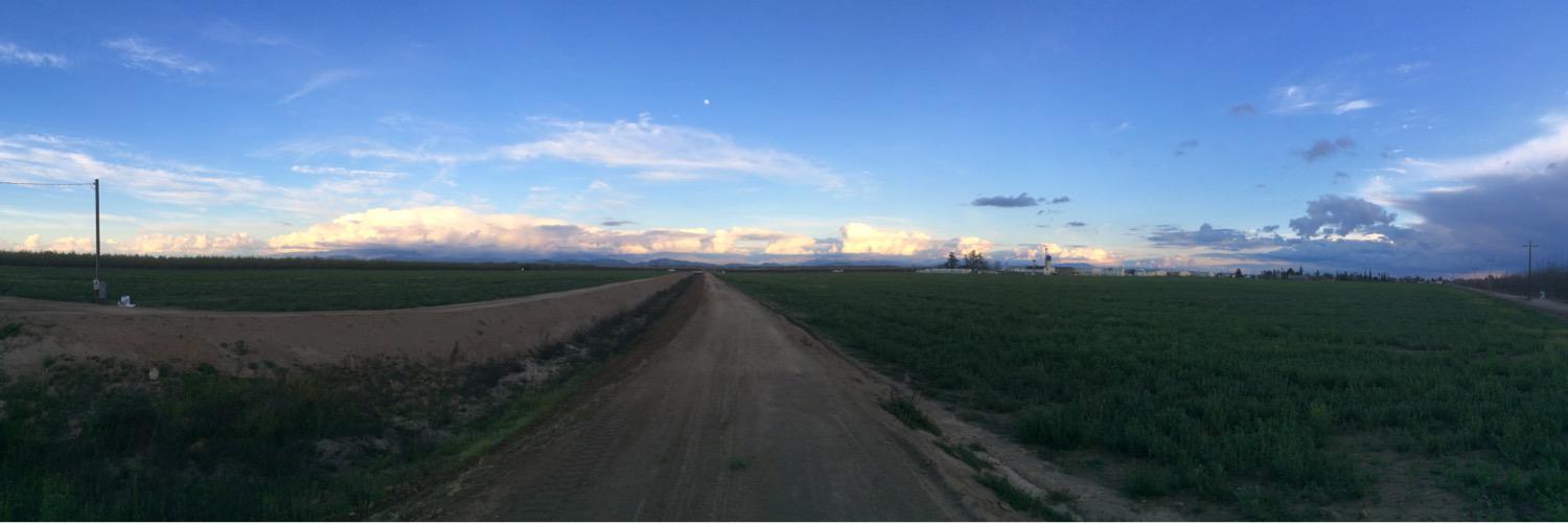 SheepdogCadet's profile banner image
